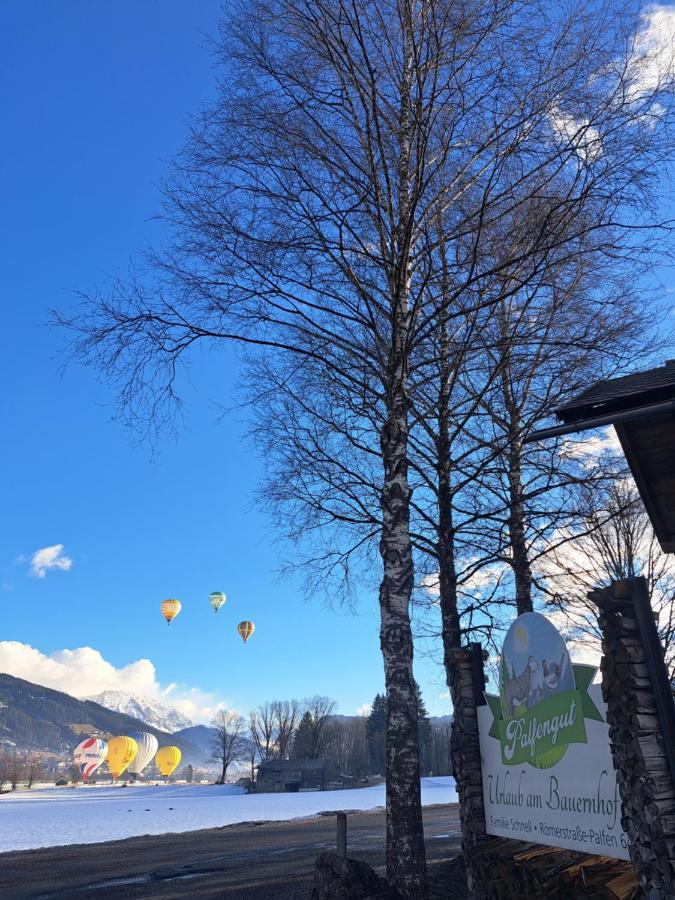 Palfengut Leilighet Altenmarkt im Pongau Eksteriør bilde